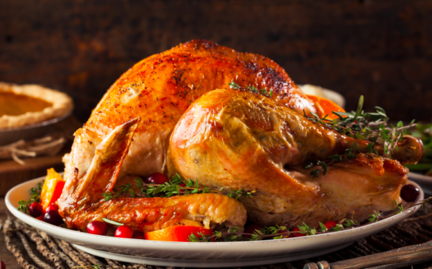 24. pavo
