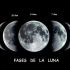 ¿cómo está la luna hoy?