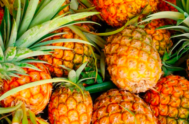 larga vida a la piña