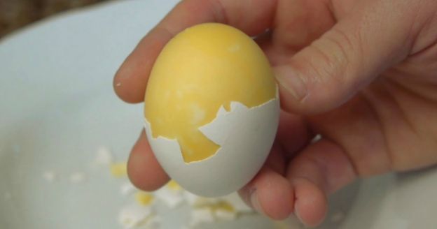 LOS CIENTÍFICOS LO TIENEN CLARO