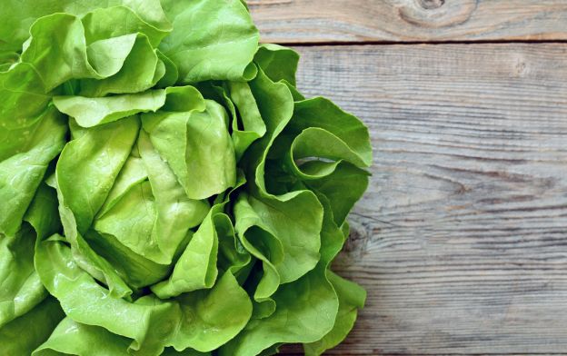 té de lechuga