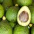 Aguacate