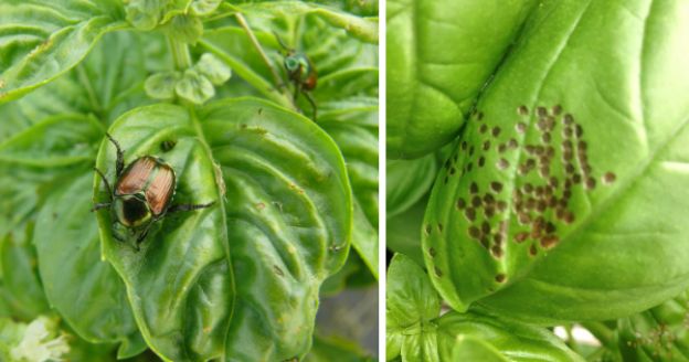 <strong>3. </strong>