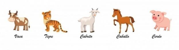 Ordena estos animales