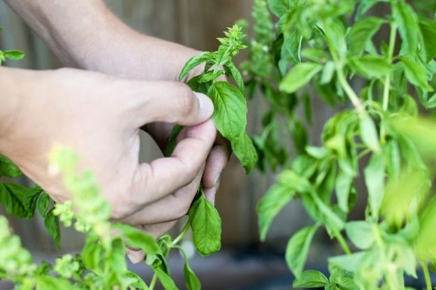 <strong>2. </strong>