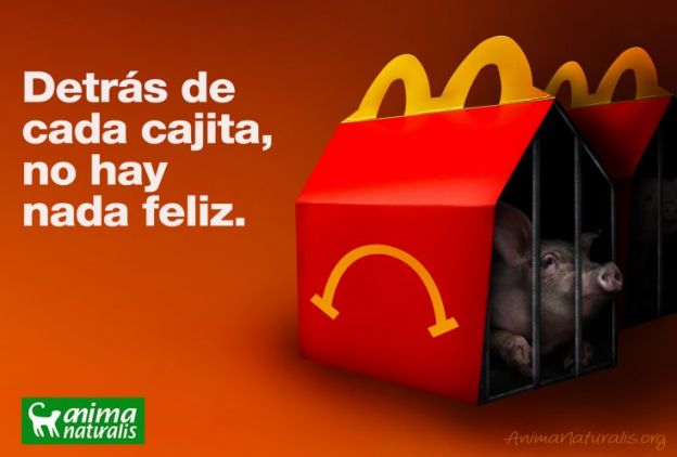 Sobre la cadena productiva...