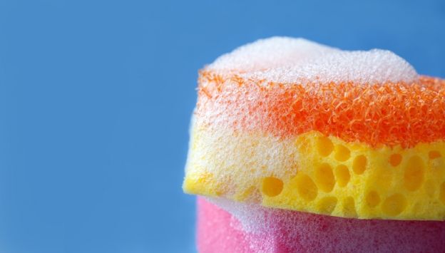 ¿conoces la esponja mágica?