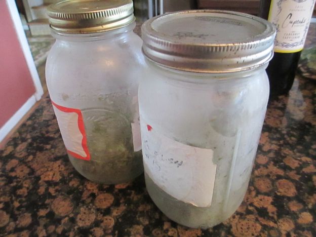 cómo congelar frutas y verduras