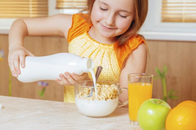 La Leche reduce el hierro en los niños pequeños