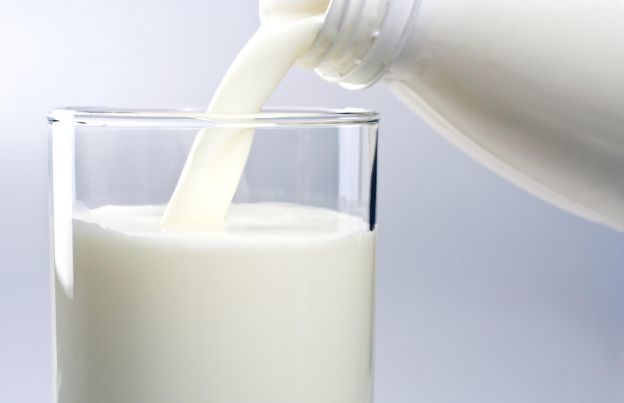 UNA BOTELLA DE LECHE