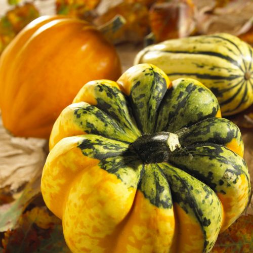 LOS BENEFICIOS DE LOS ALIMENTOS ECOLÓGICOS