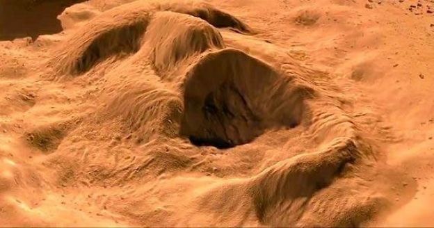 3) sed y sensación de la boca seca