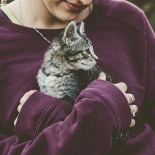 Da y recibe más abrazos