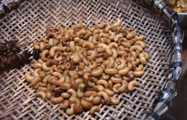 Gongo (gusano del coco) - Brasil