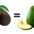 AGUACATE