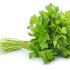 ¿CILANTRO O PEREJIL?