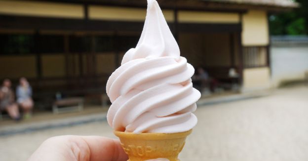 ¿Cómo preparar un helado casero igualito al de McDonalds?