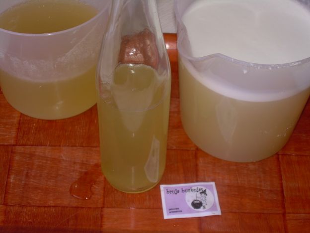 Prepara un shampoo 100% natural