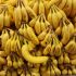 DESDE HACE VARIOS AÑOS LAS BANANAS ESTÁN EN PELIGRO DE EXTINCIÓN