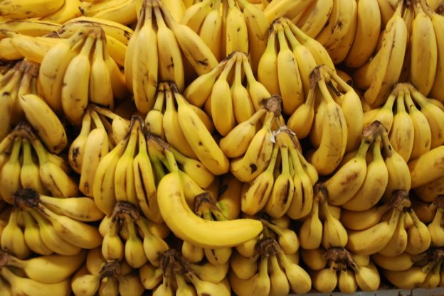 DESDE HACE VARIOS AÑOS LAS BANANAS ESTÁN EN PELIGRO DE EXTINCIÓN