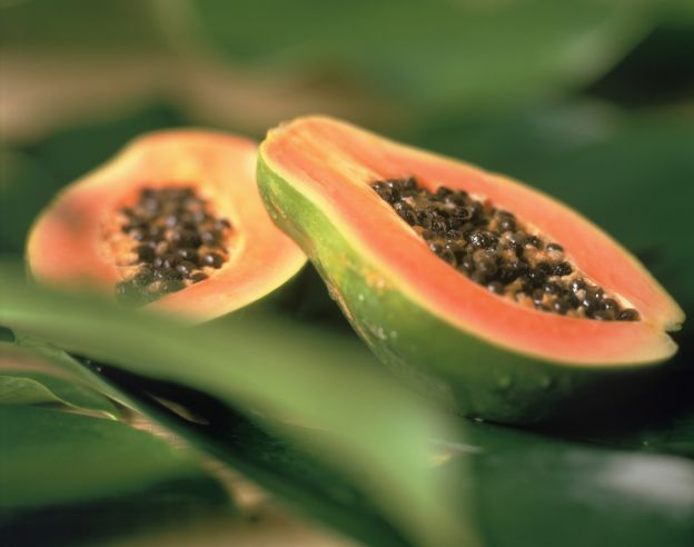 Papaya
