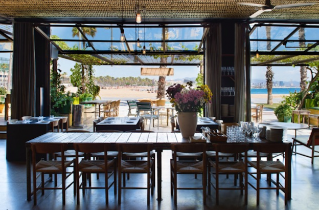 34.- GALLITO (BARCELONA)