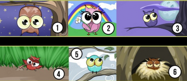 ¿CUÁL TE GUSTA MÁS?