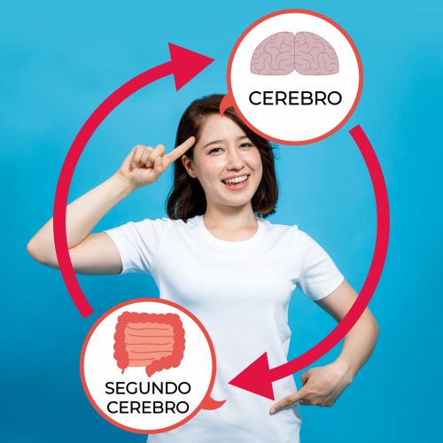 EL SEGUNDO CEREBRO