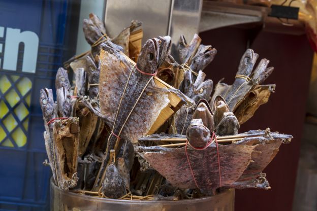 Lagartos secos - China