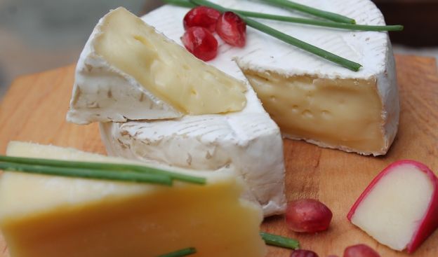 queso camembert