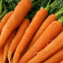 Zanahorias