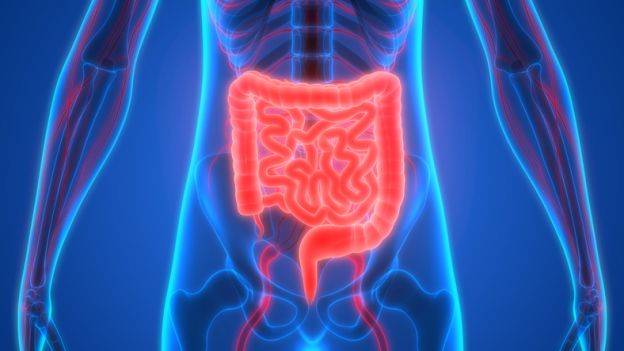 1. REPARA EL INTESTINO