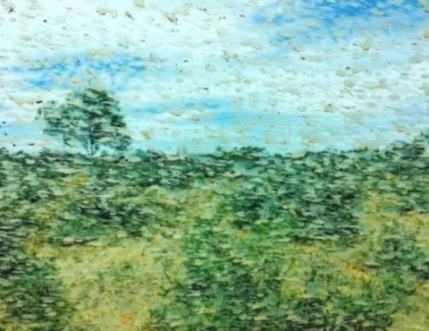 NO ES UN CUADRO ES MIERDA EN EL CRISTAL DE UN COCHE