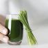 Wheatgrass - Desintoxicante, purificante y curativo