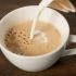 Holanda: Koffie Verkeed