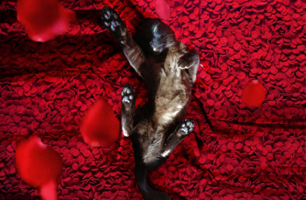 ¿Necesitas una pista?