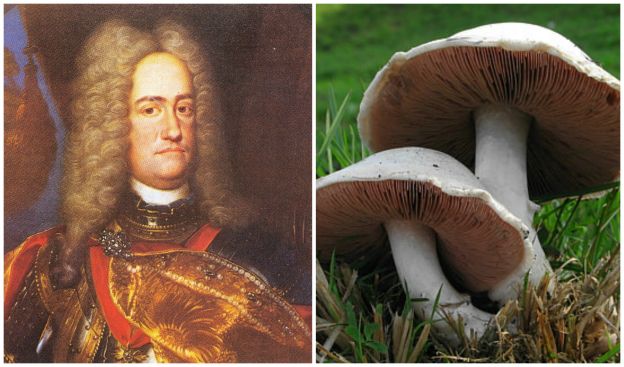 Archiduque Carlos de Austria