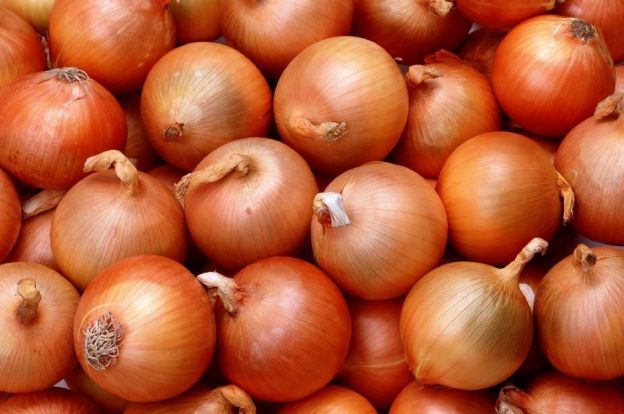 Las cebollas