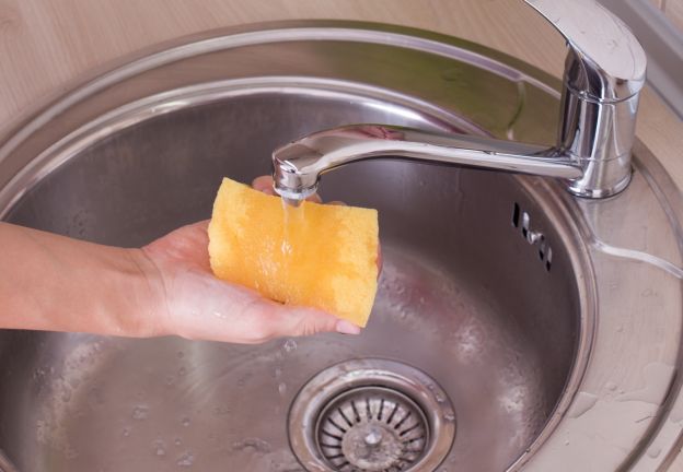 <strong style=font-size: 1.5rem;>cómo hacer la esponja mágica</strong>