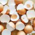 ¿Por qué los huevos duros son difíciles de pelar?