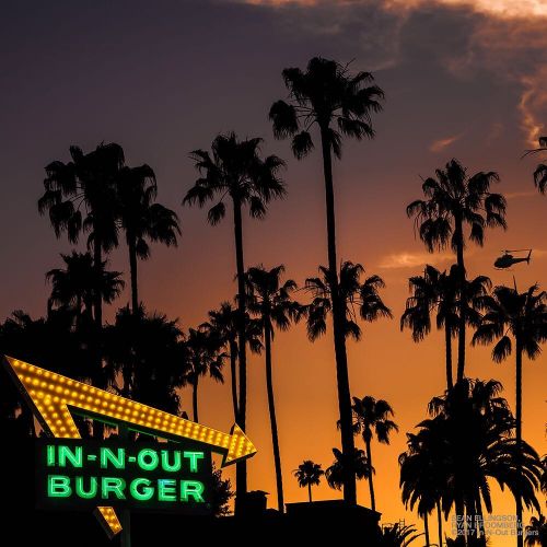 In-N-Out Burger