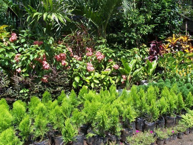 2. mejora la salud mental