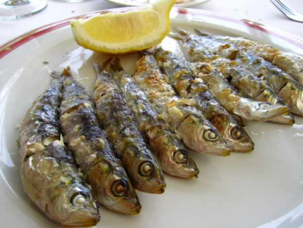 15.- sardinas