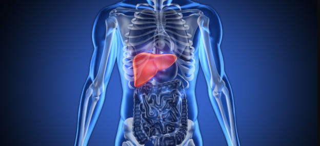 El hígado graso: un problema más común de lo que crees