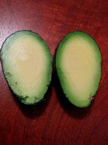Aguacate sin hueso
