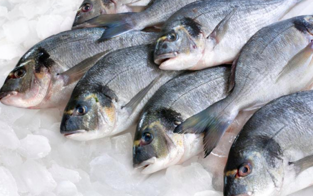 4.- pescados frescos