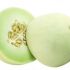 ¿MELÓN CANTALOUPE O MELÓN CHINO?