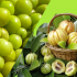 Garcinia cambogia, una fruta exótica con grandes propiedades