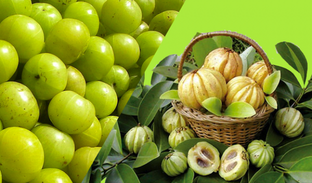 Garcinia cambogia, una fruta exótica con grandes propiedades