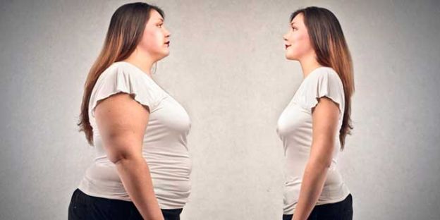 Los obesógenos tienen la culpa de que engordemos